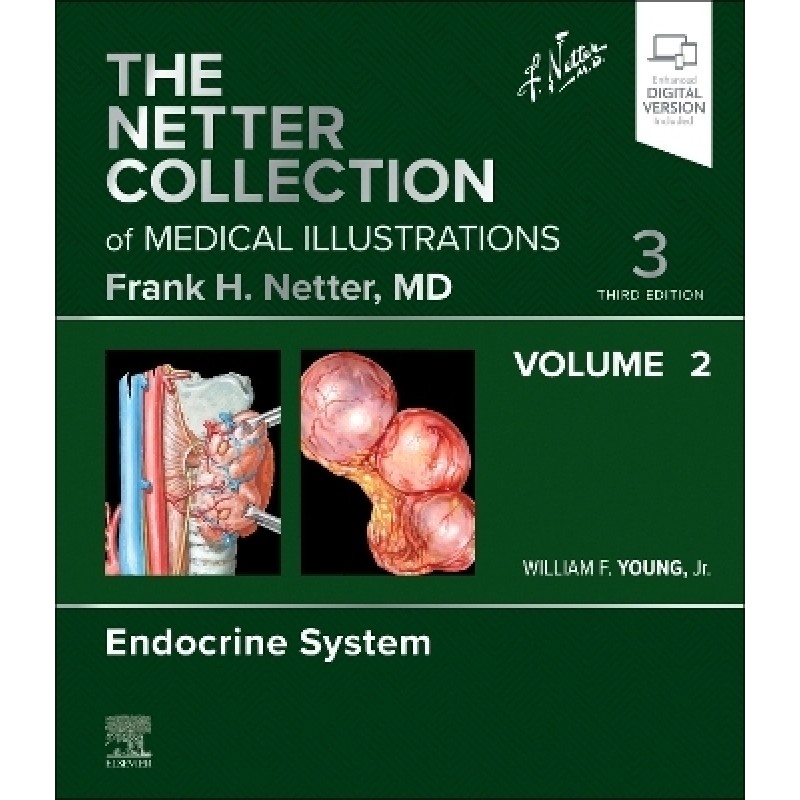 The Netter Collection of Medical Illustrations: Endocrine System, Volume 2, 3rd Edition