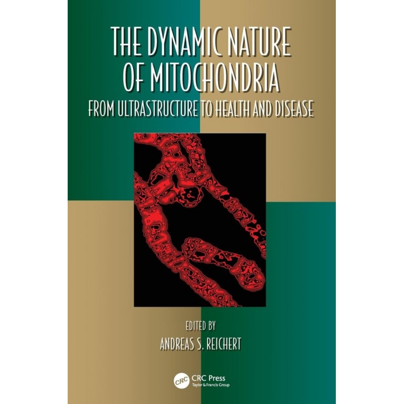 The Dynamic Nature of Mitochondria from Ultrastructure to Health and Disease