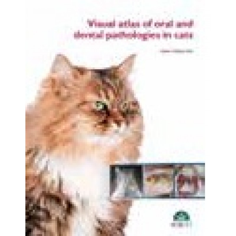 VISUAL ATLAS OF ORAL AND DENTAL PATHOLOGIES in cats