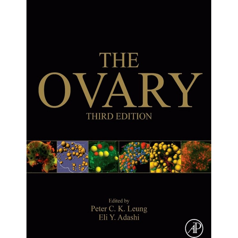 The Ovary 3E