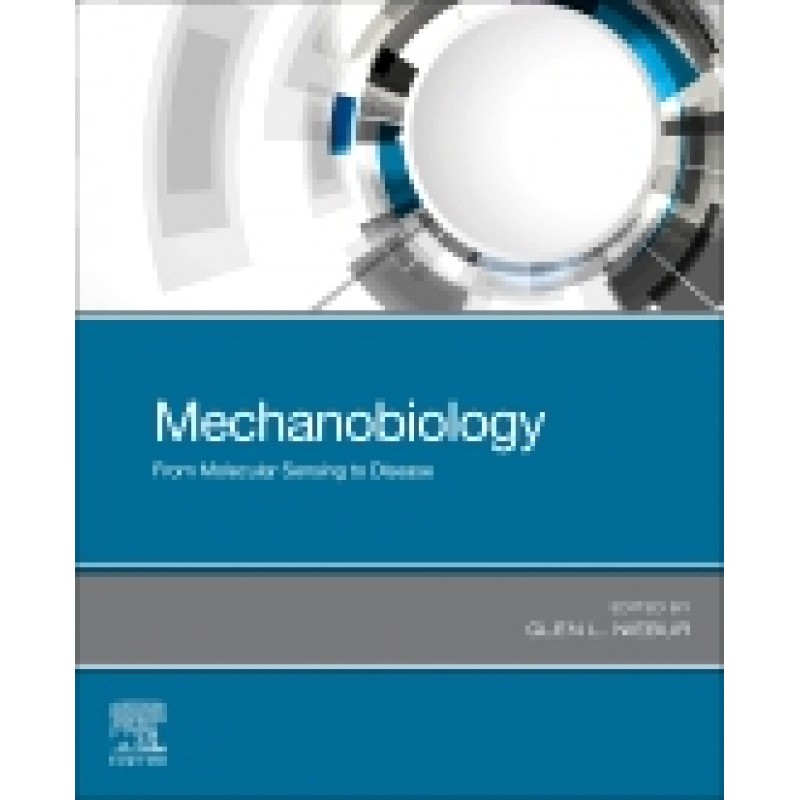 Mechanobiology, From Molecular Sensing to Disease