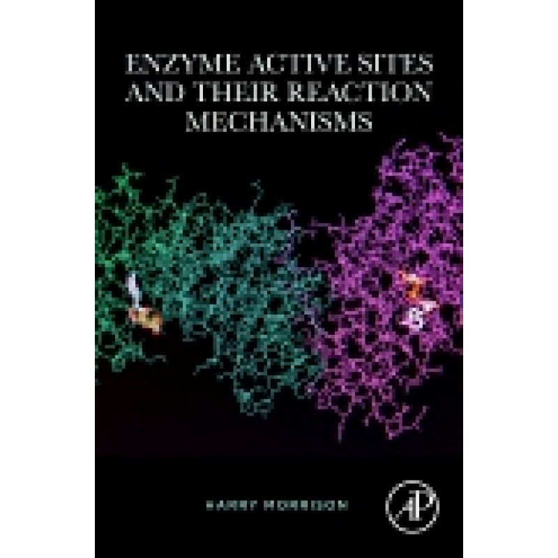 Enzyme Active Sites and their Reaction Mechanisms