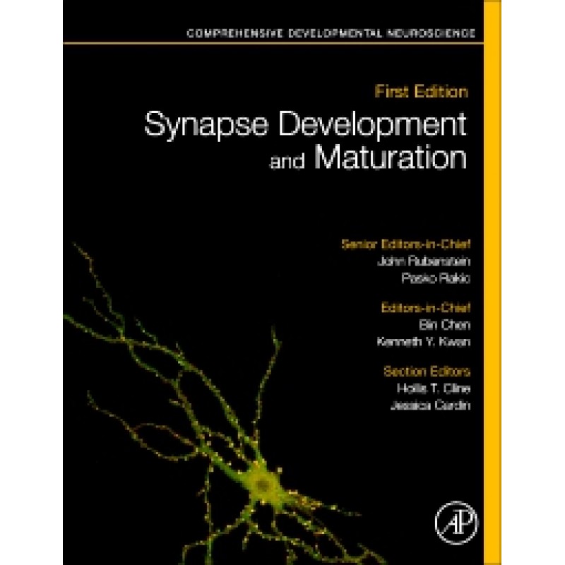 Synapse Development and Maturation - Comprehensive Developmental Neuroscience