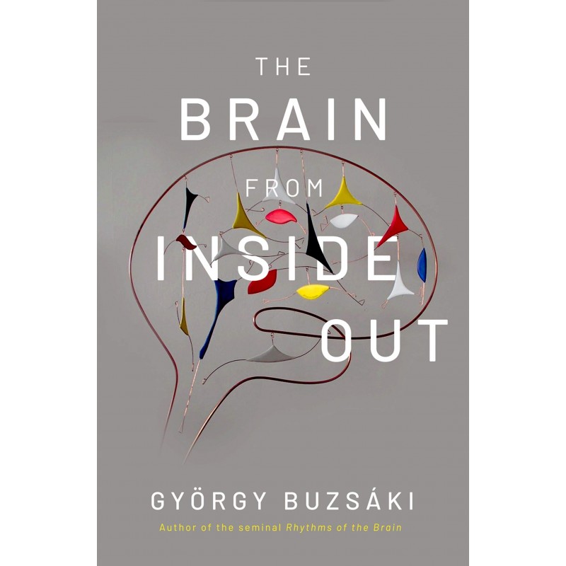 The Brain from Inside Out