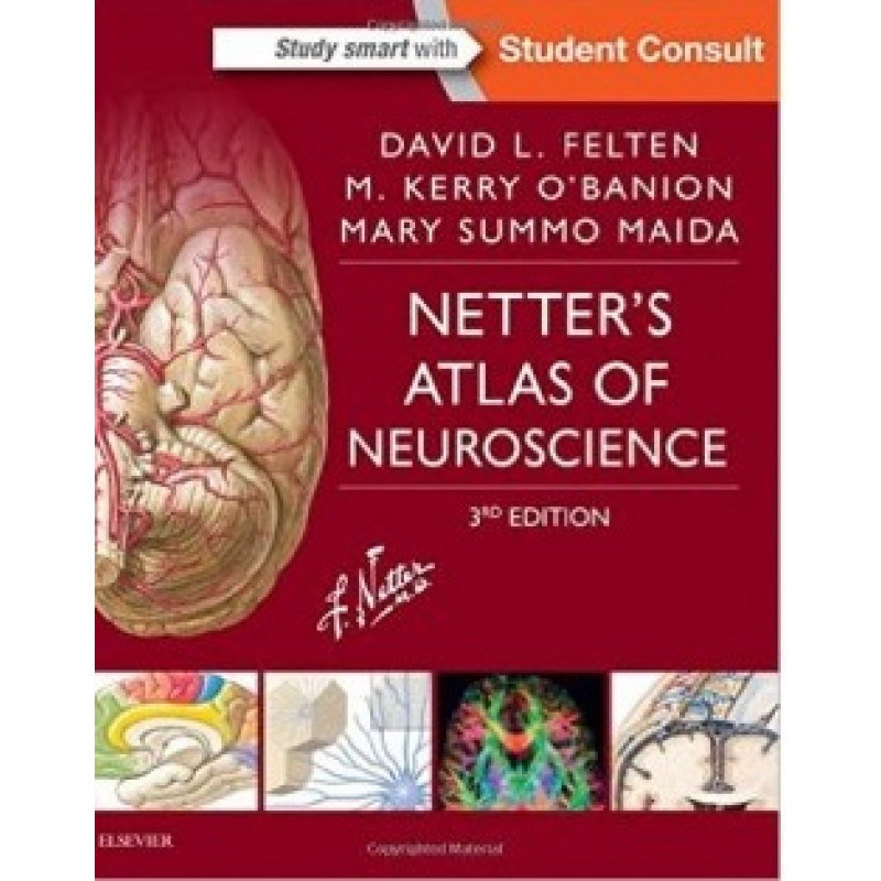 Netter's Atlas of Neuroscience, 3E