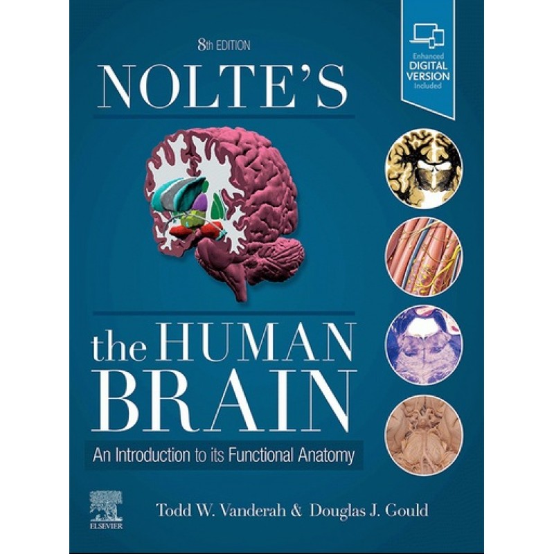 Nolte's The Human Brain 8E: An Introduction to its Functional Anatomy