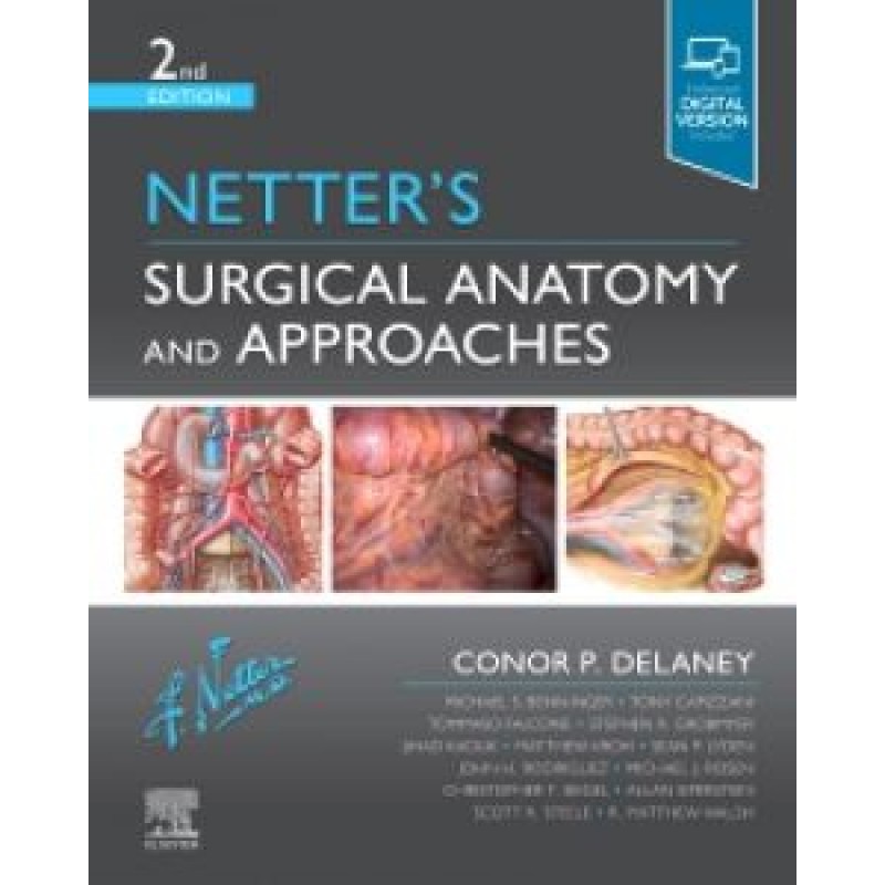 Netter's Surgical Anatomy and Approaches, 2E