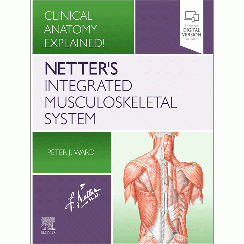 Netter’s Integrated Musculoskeletal System (Clinical Anatomy Explained!)