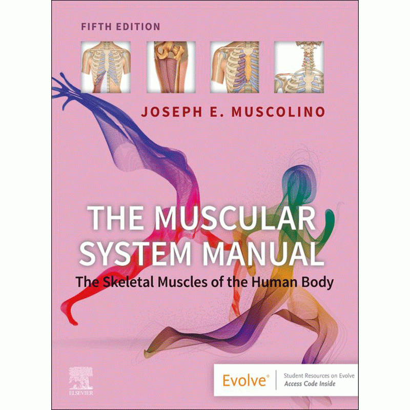 The Muscular System Manual: The Skeletal Muscles of the Human Body, 5th Edition