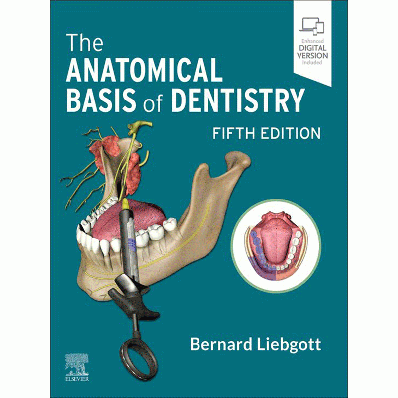 The Anatomical Basis of Dentistry, 5th Edition