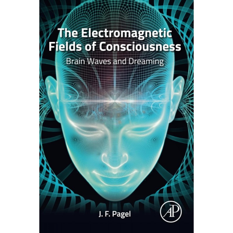 The Electromagnetic Fields of Consciousness: Brain Waves and Dreaming, 1st Edition