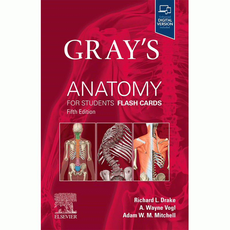 Gray’s Anatomy for Students Flash Cards, 5th Edition