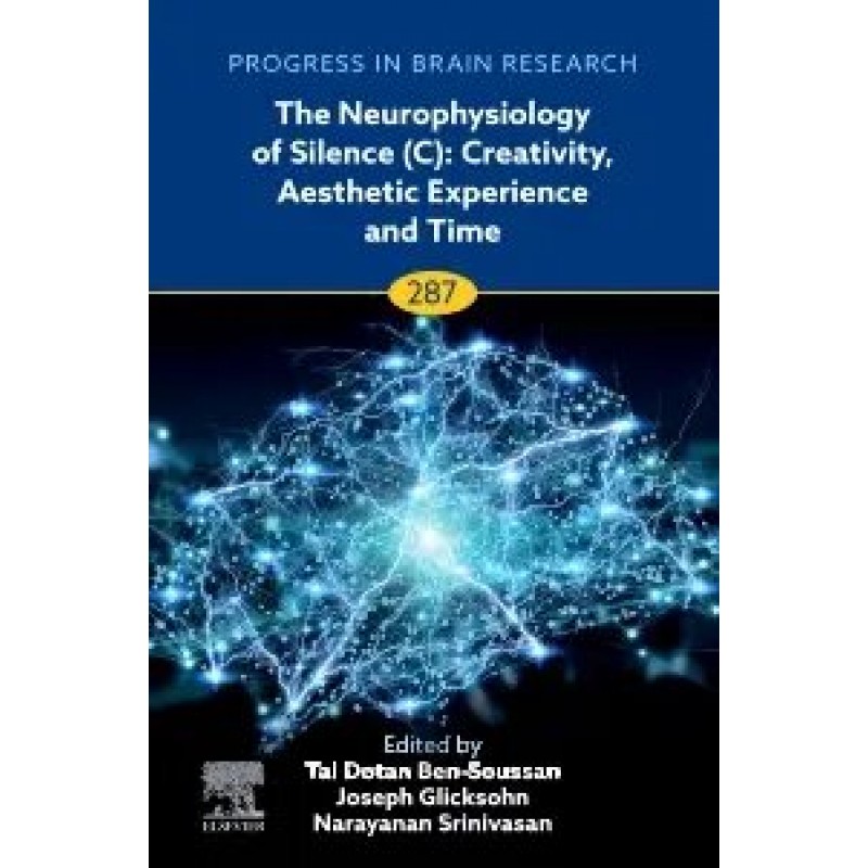 The Neurophysiology of Silence (C): Creativity, Aesthetic Experience and Time