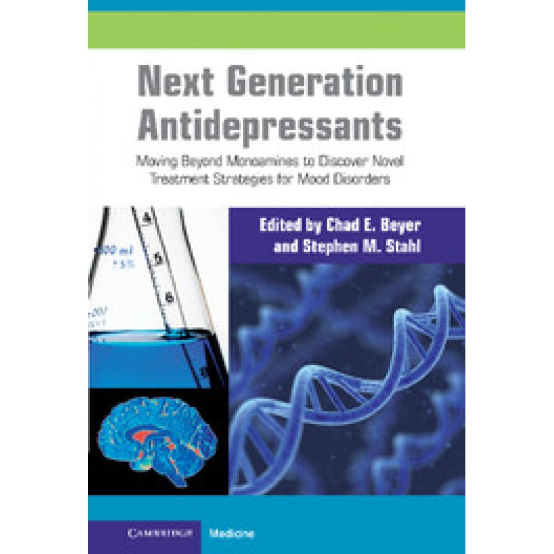 Next Generation Antidepressants Moving Beyond Monoamines to Discover Novel Treatment Strategies for Mood Disorders