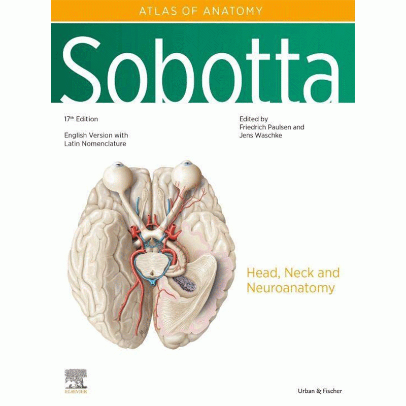 Sobotta Atlas of Anatomy: Head, Neck and Neuroanatomy, Volume 3, 17th Edition (English/Latin)