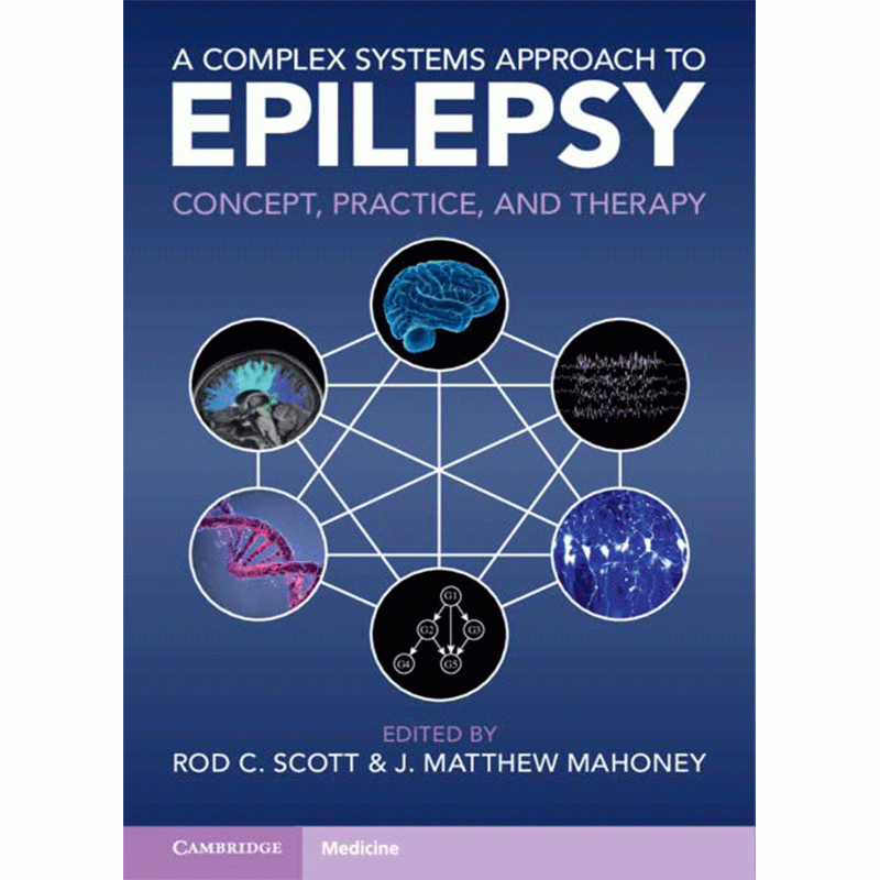 A Complex Systems Approach to Epilepsy: Concept, Practice, and Therapy