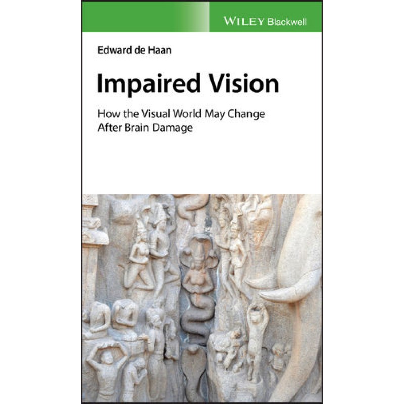 Impaired Vision: How the Visual World May Change after Brain Damage