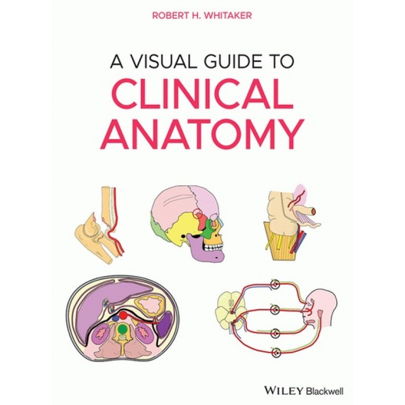 A Visual Guide to Clinical Anatomy