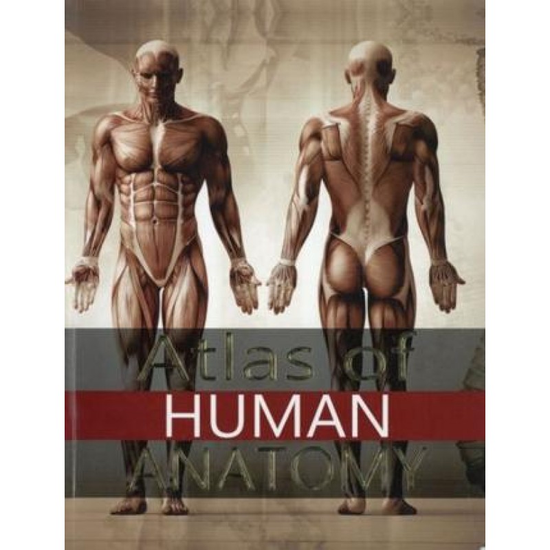 Atlas of Human Anatomy