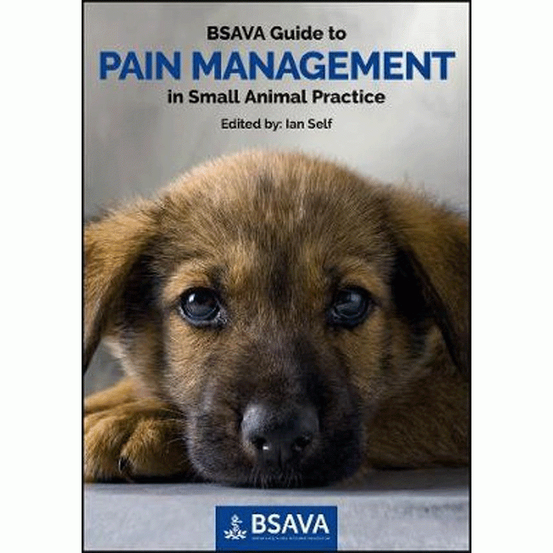 BSAVA Guide to Pain Management in Small Animal Practice