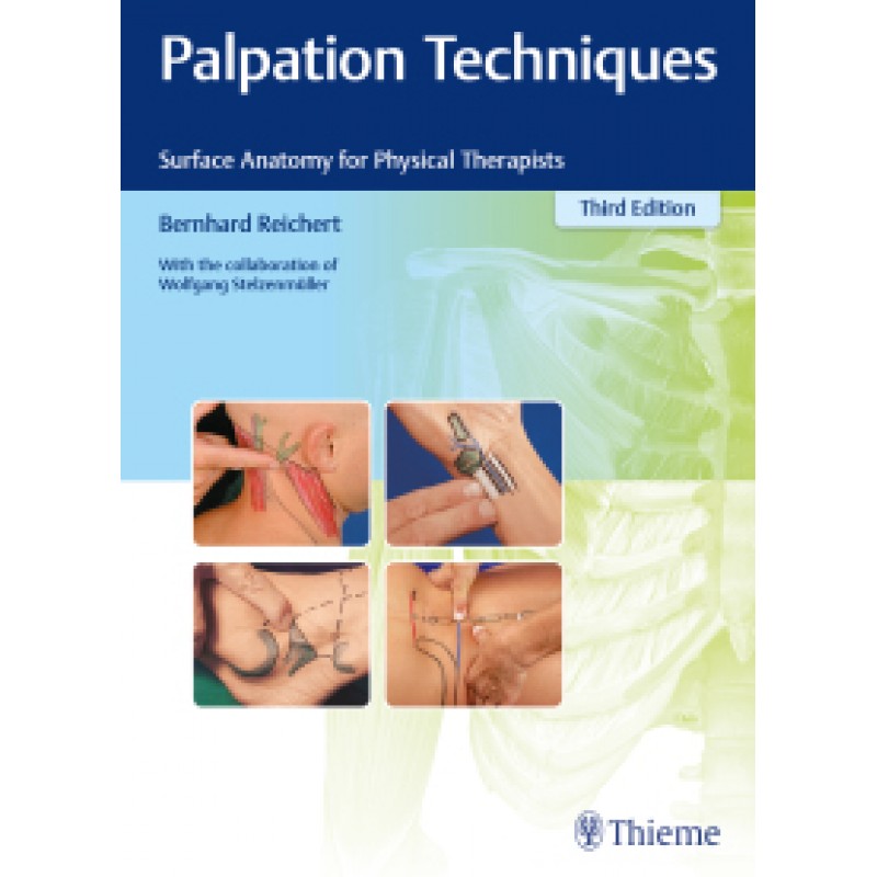 Palpation Techniques: Surface Anatomy for Physical Therapists