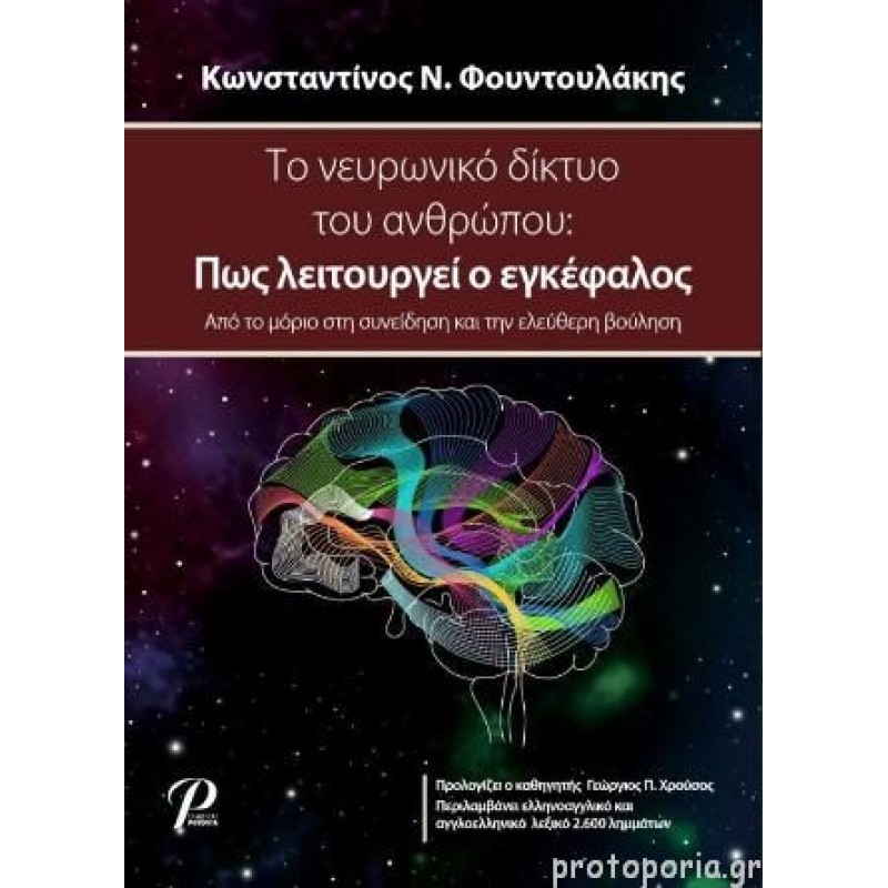 Το Νευρωνικό Δίκτυο του Ανθρώπου: Πως λειτουργεί ο Εγκέφαλος