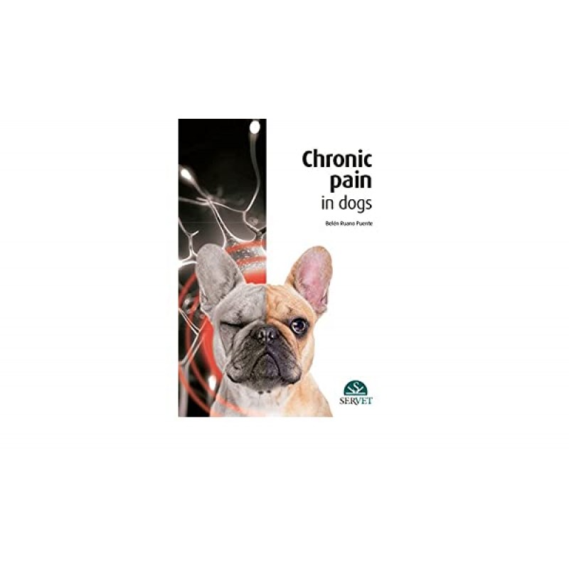 CHRONIC PAIN IN DOGS