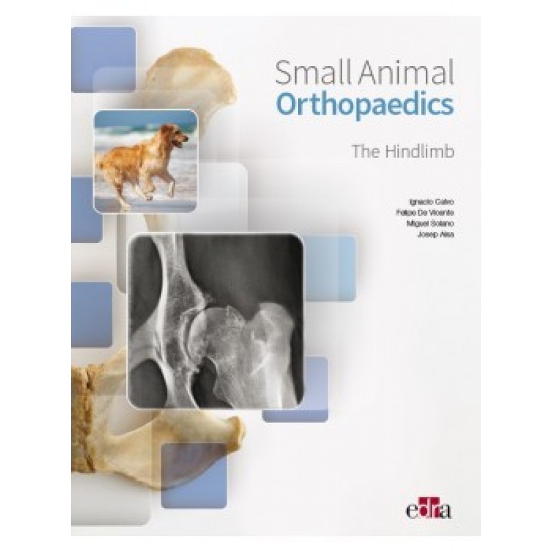 Small animal orthopaedics. The hindlimb