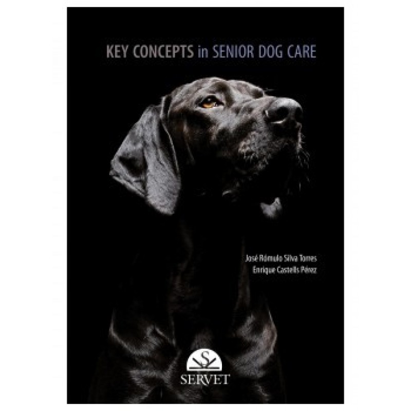 Key Concepts in Senior Dog Care