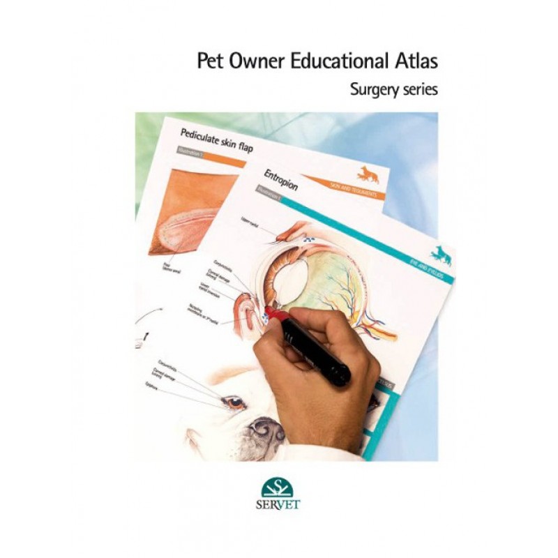 Pet owner educational atlas. Surgery