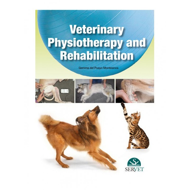 Veterinary physiotherapy and rehabilitation