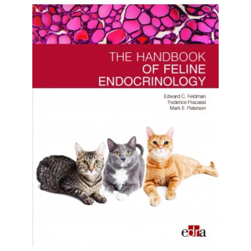 Feline endocrinology