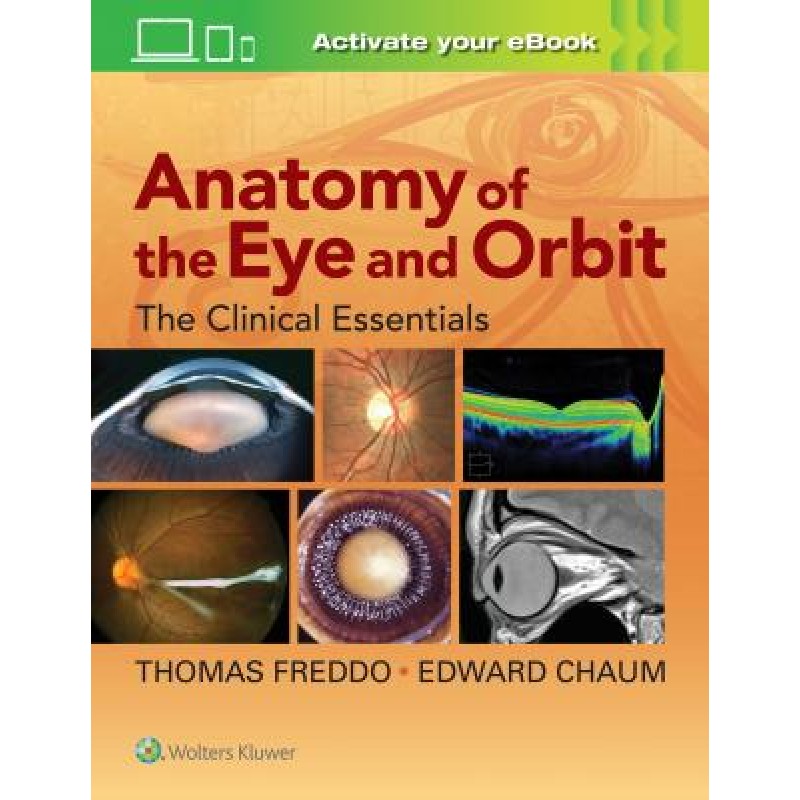 Anatomy of the Eye and Orbit THE CLINICAL ESSENTIALS