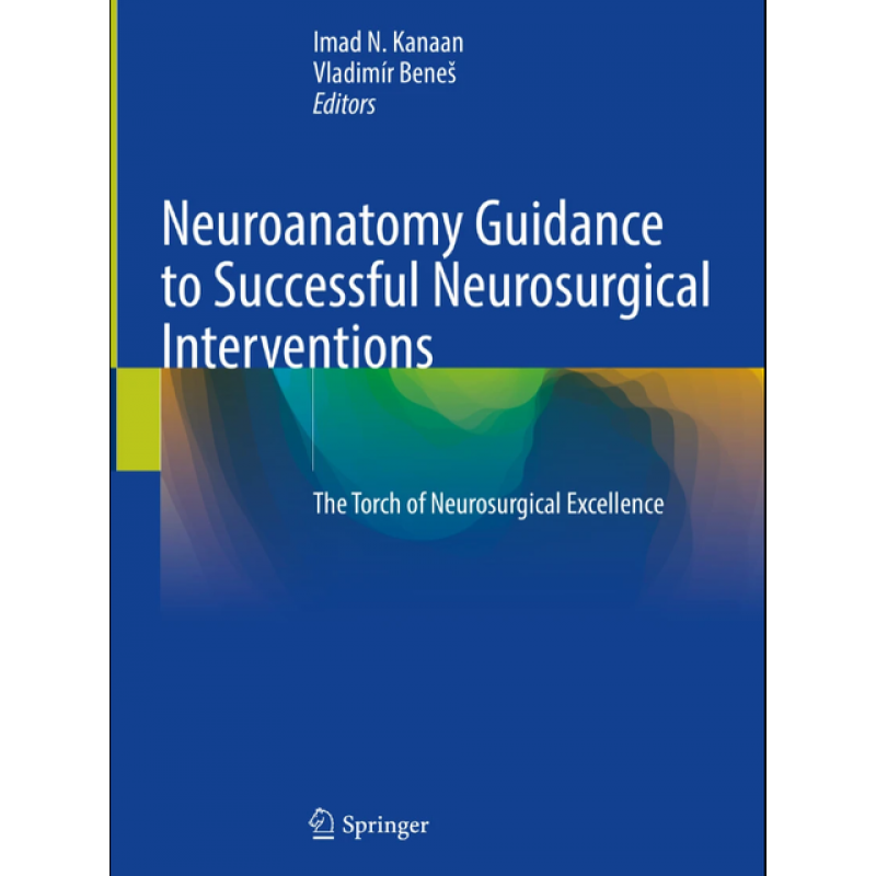 Neuroanatomy Guidance to Successful Neurosurgical Interventions. The Torch of Neurosurgical Excellence