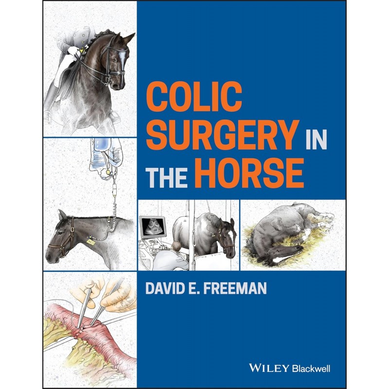 Colic Surgery in the Horse