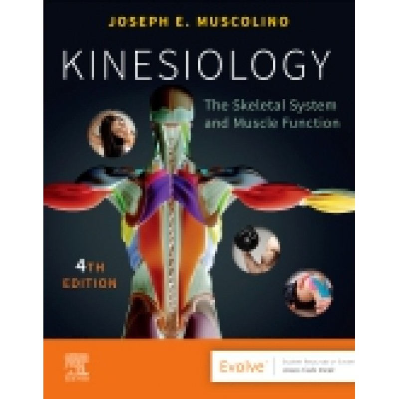 Kinesiology, 4th Edition