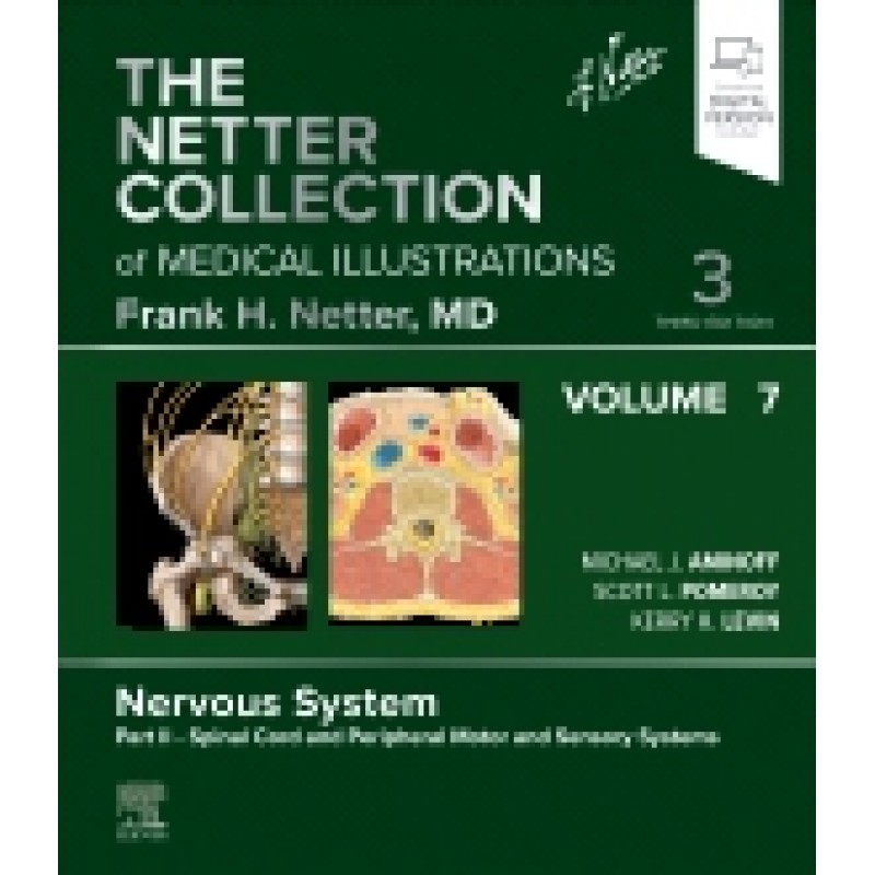 The Netter Collection of Medical Illustrations: Nervous System, Volume 7, Part II - Spinal Cord and Peripheral Motor and Sensory Systems, 3rd Edition