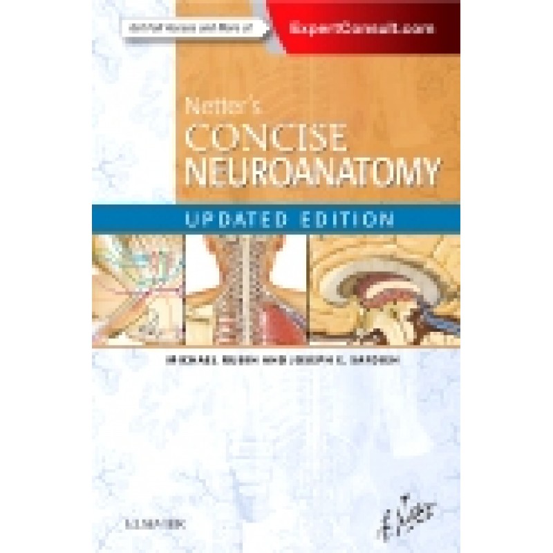 Netter's Concise Neuroanatomy Updated Edition