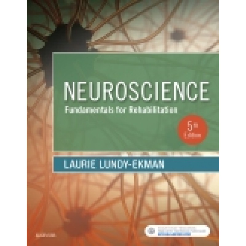 Neuroscience, 5th Edition