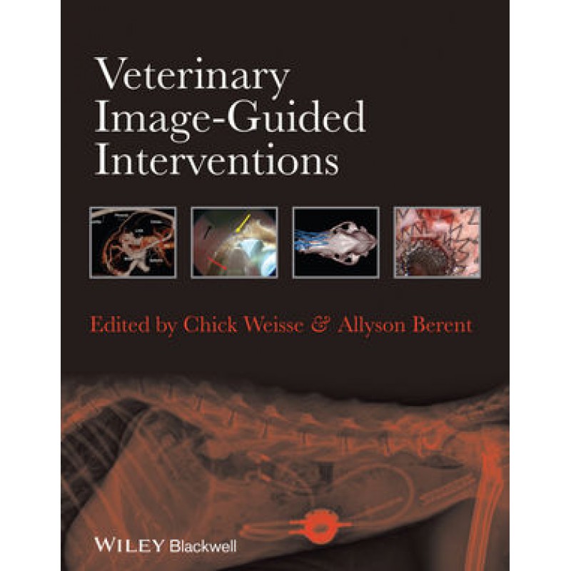 Veterinary Image-Guided Interventions